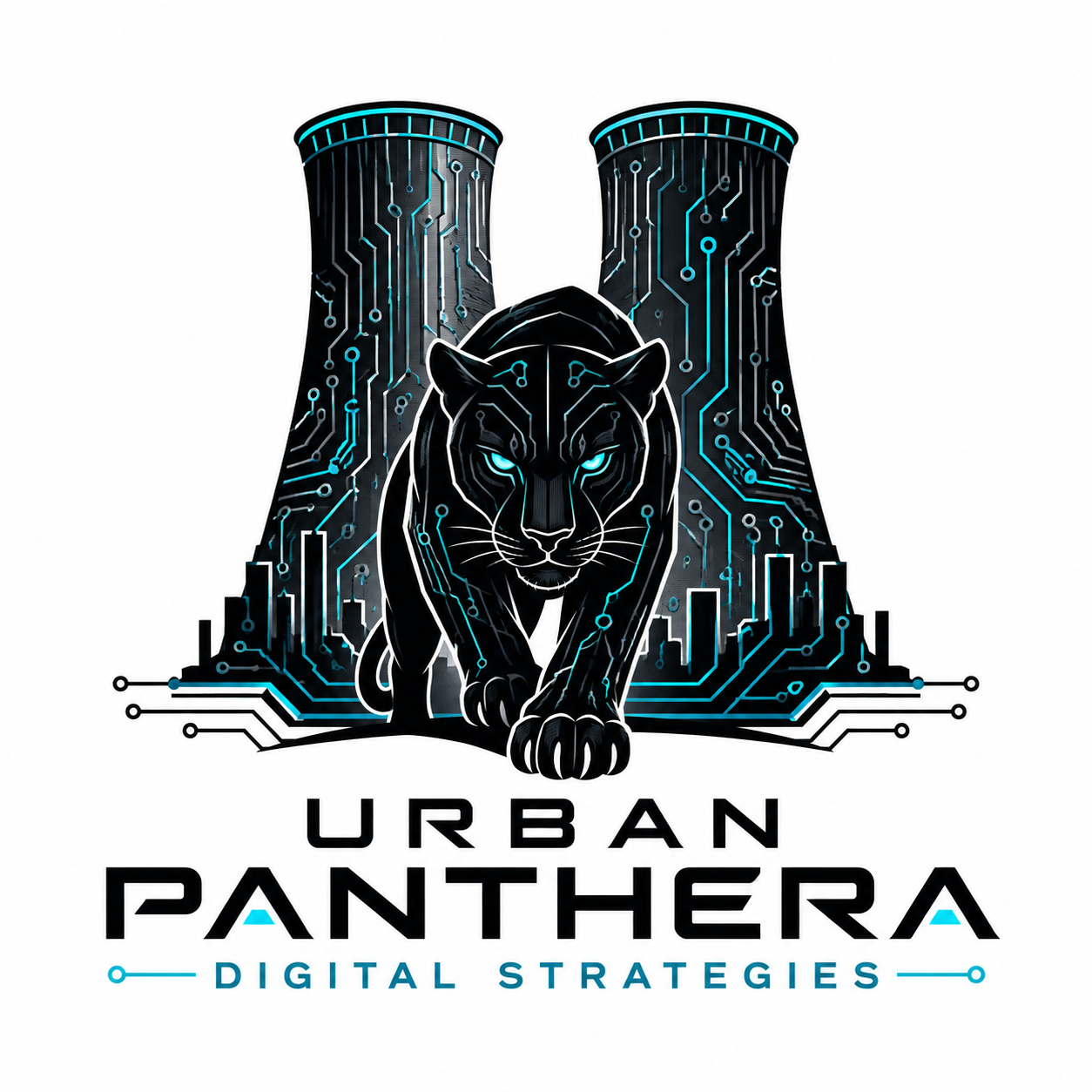 Urban Panthera Digital Strategies logo